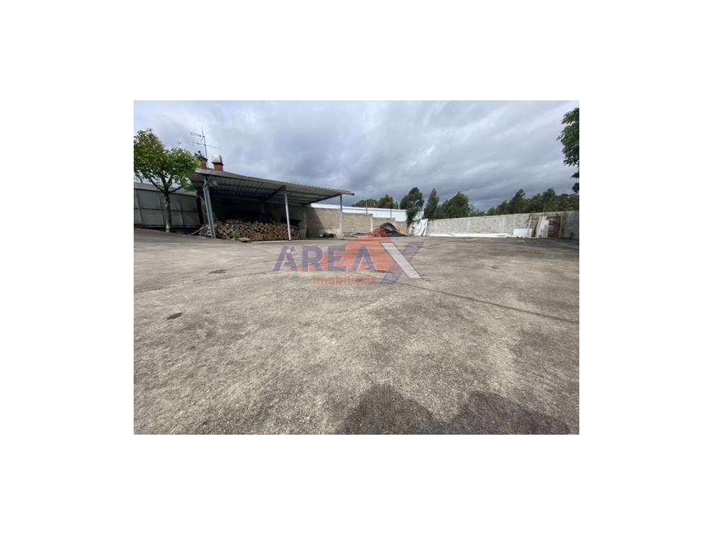 Terreno plano, todo vedado. Tem poço e pomar. Permite construir num... - Grande imagem: 4/19