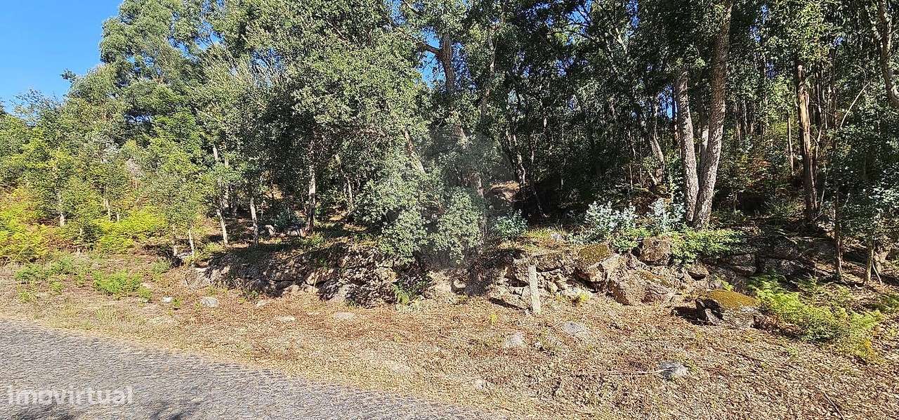 Terreno  para venda - Grande imagem: 5/13