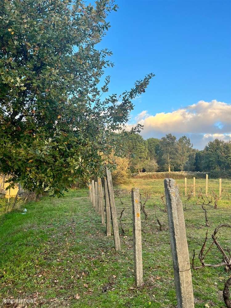 Terreno Rústico  Venda em Santa Comba,Seia - Grande imagem: 5/8