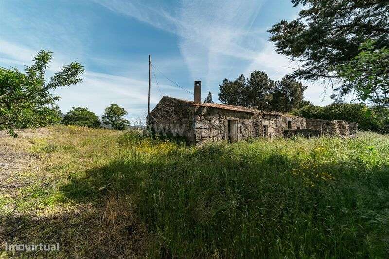 Quintinha T5 / Covilhã, Teixoso-10