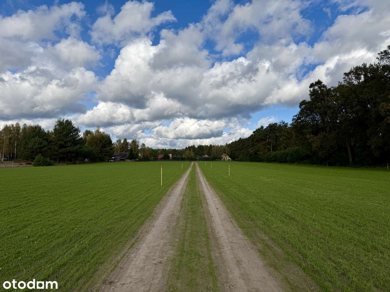 Działki przy jeziorze Lucieńskim i lesie państwowym-2