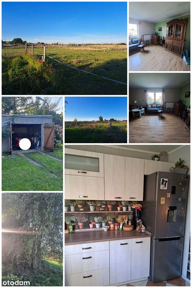 Dom, duża działka, stajnia-19