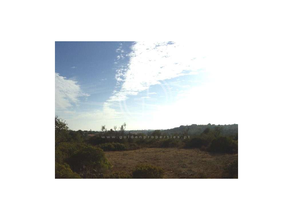 Terreno com Vista Mar em Quatrim Norte - Grande imagem: 5/15