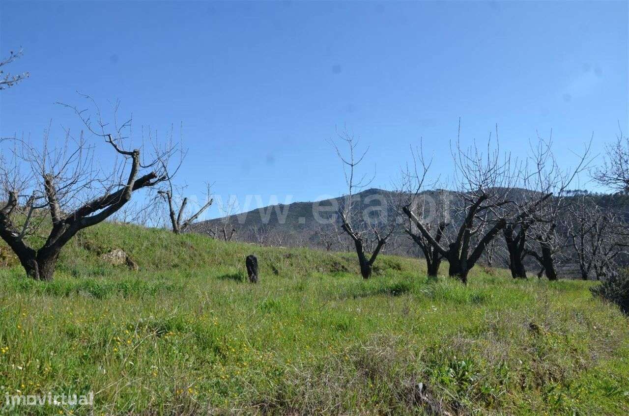 Quinta / Fundão, Aldeia de Joanes - Grande imagem: 4/12