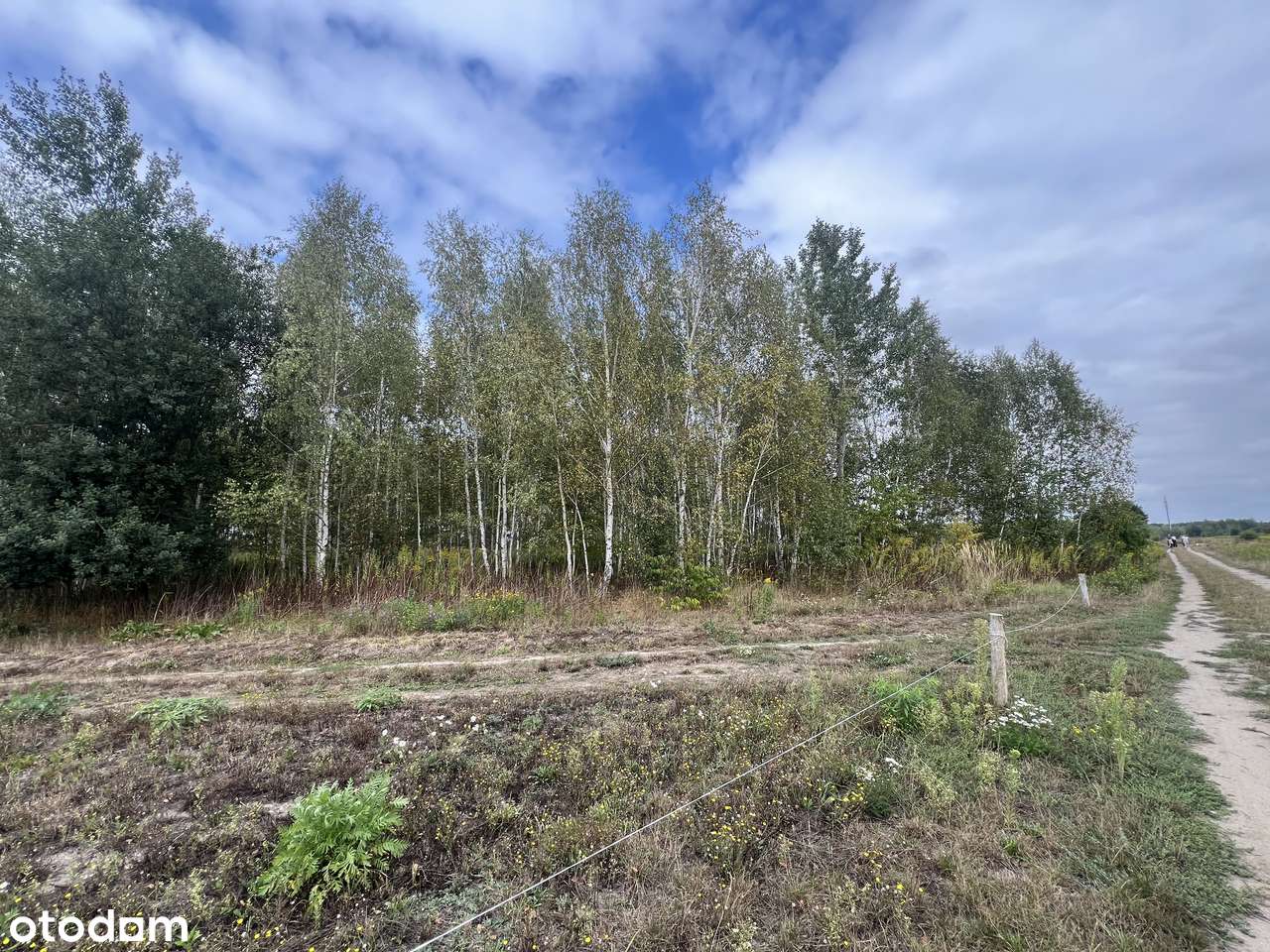 Działka budowlana w pobliżu lasu - idealna pod dom - Pełny obrazek: 4/4