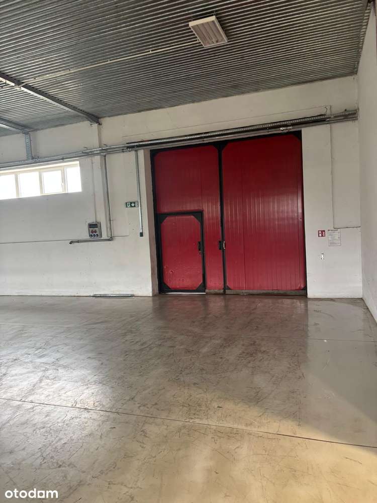 Nowoczesna hala produkcyjna pod Lublinem – 1150 m², gotowa od zaraz” - Pełny obrazek: 4/9