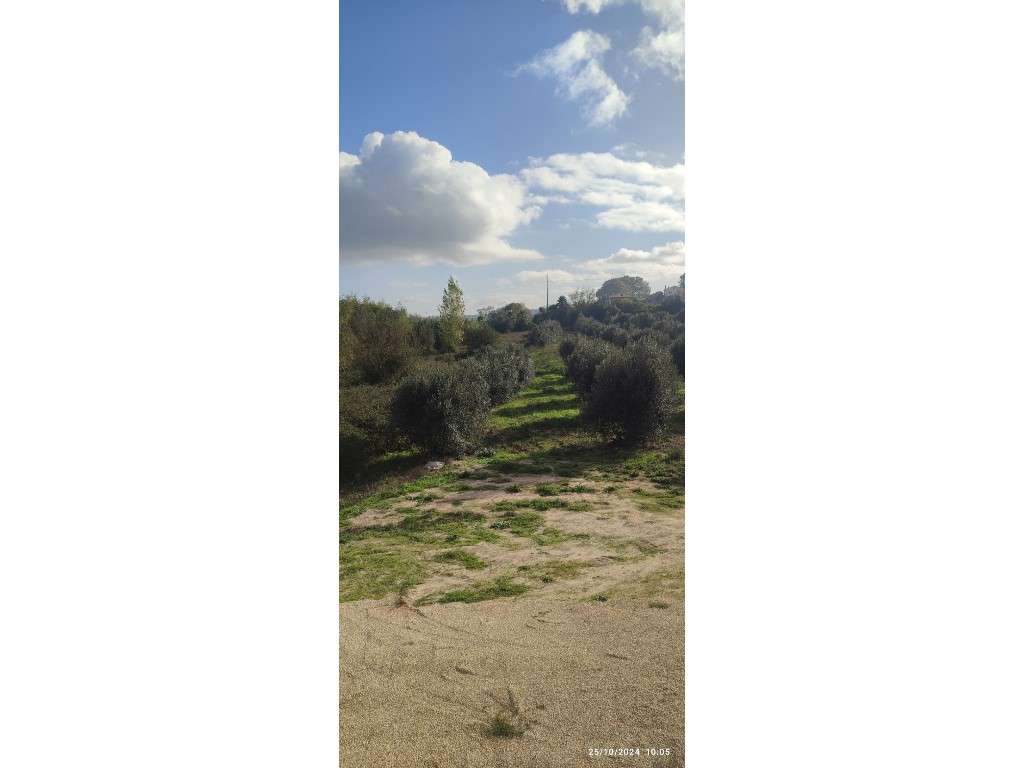 Moradia T4, com garagem e um belo terreno, localizada em zona de ex... - Grande imagem: 4/27