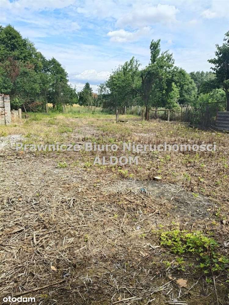 Dom Kotzrórz Mały, gmina Turawa - Pełny obrazek: 5/14