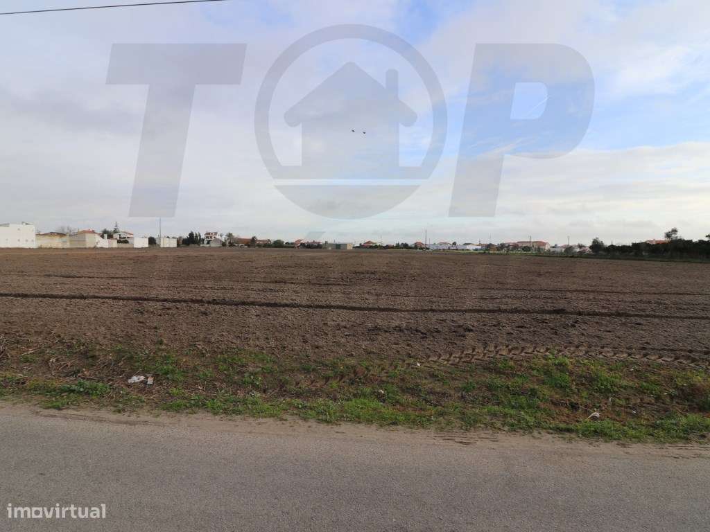 Terreno para construção de 24 moradias ou supermercado - 4,5ha - Ce... - Grande imagem: 2/3