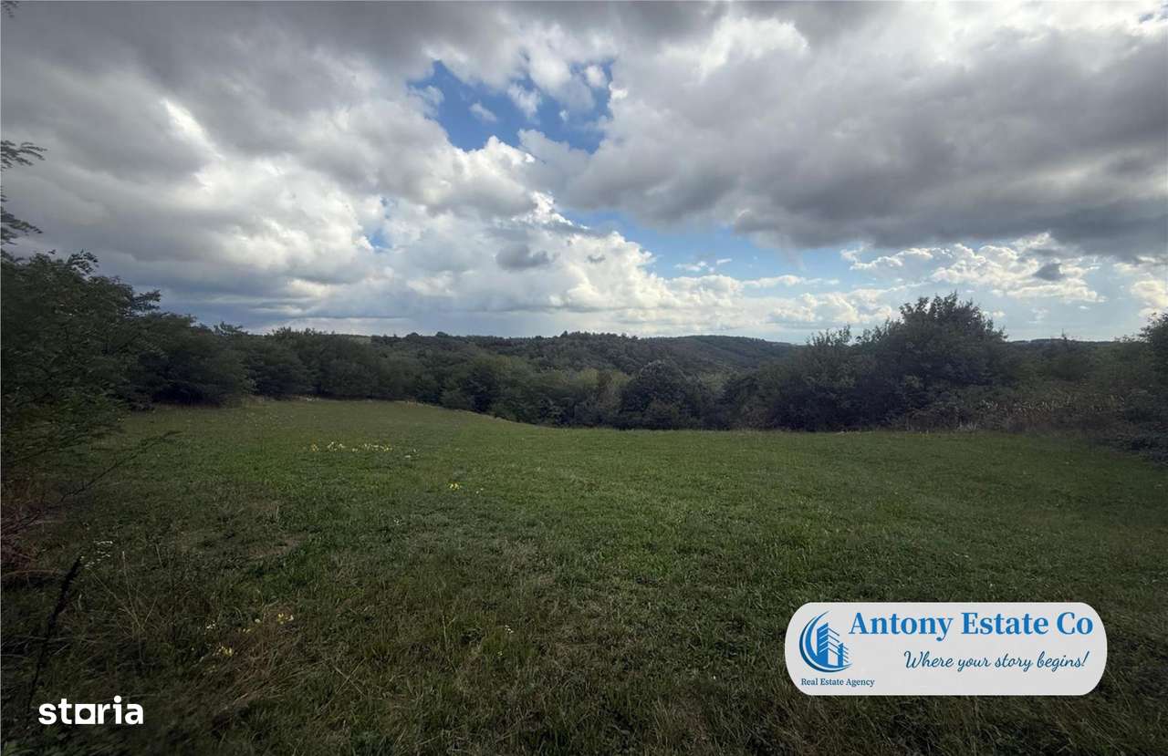 Teren extravilan, de vanzare, Uileacu de Cris, Bihor - Imagine principală: 4/4