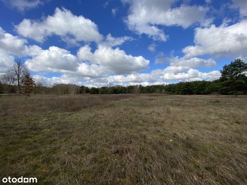 17/17696/OGS - Pełny obrazek: 5/7