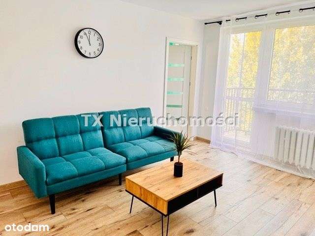 Wynajem - 3 Pokoje - Po Remoncie - Pełny obrazek: 4/12