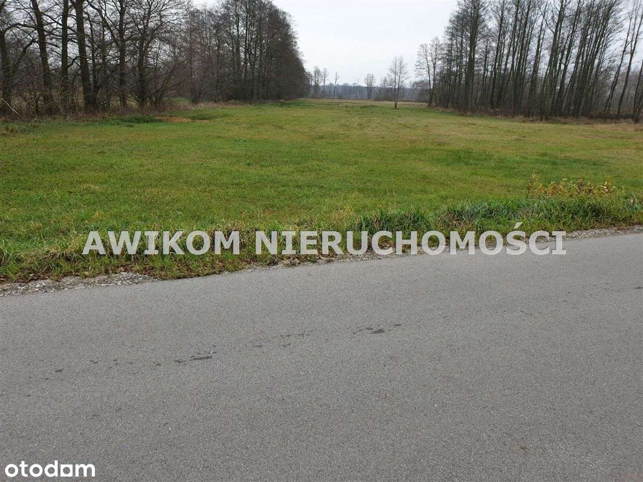 Działka w Kampinoskim Parku Narodowym - Pełny obrazek: 2/7