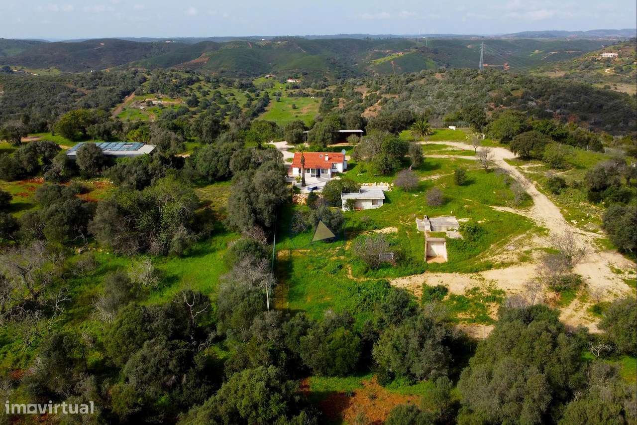 Quinta portuguesa em terreno de 23.400 m2 no topo de uma colina com vi - Grande imagem: 4/38