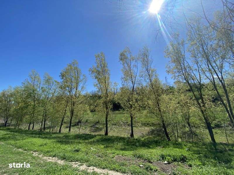 Teren intravilan 1137 mp, apa curenta, acte la zi - Imagine principală: 4/8