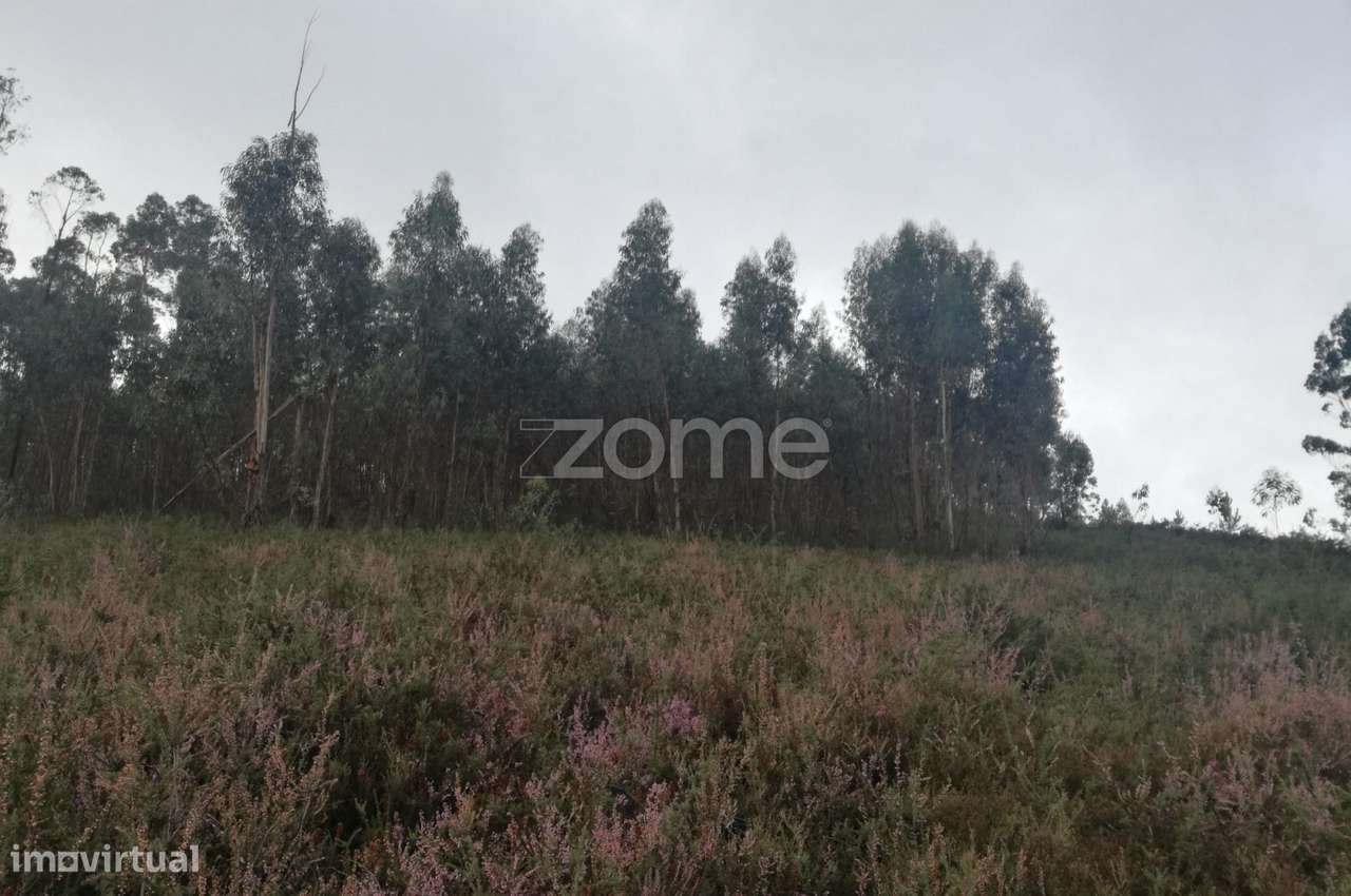 Terreno Rustico em Escariz São Martinho, Vila Verde - Grande imagem: 4/8