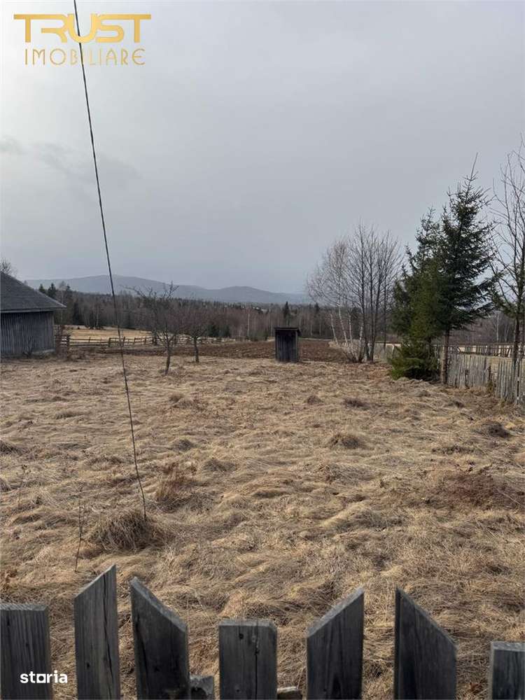 Teren intravilan I 2433 MP I Dealu Negru - Imagine principală: 3/5