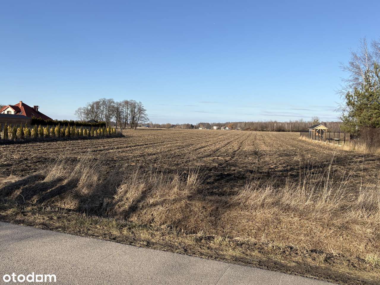 Działka budowlana 1500m2 | Aleksandria-3