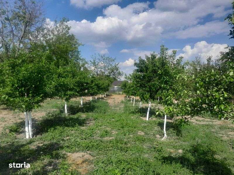 Vand teren intravilan - Imagine principală: 5/6