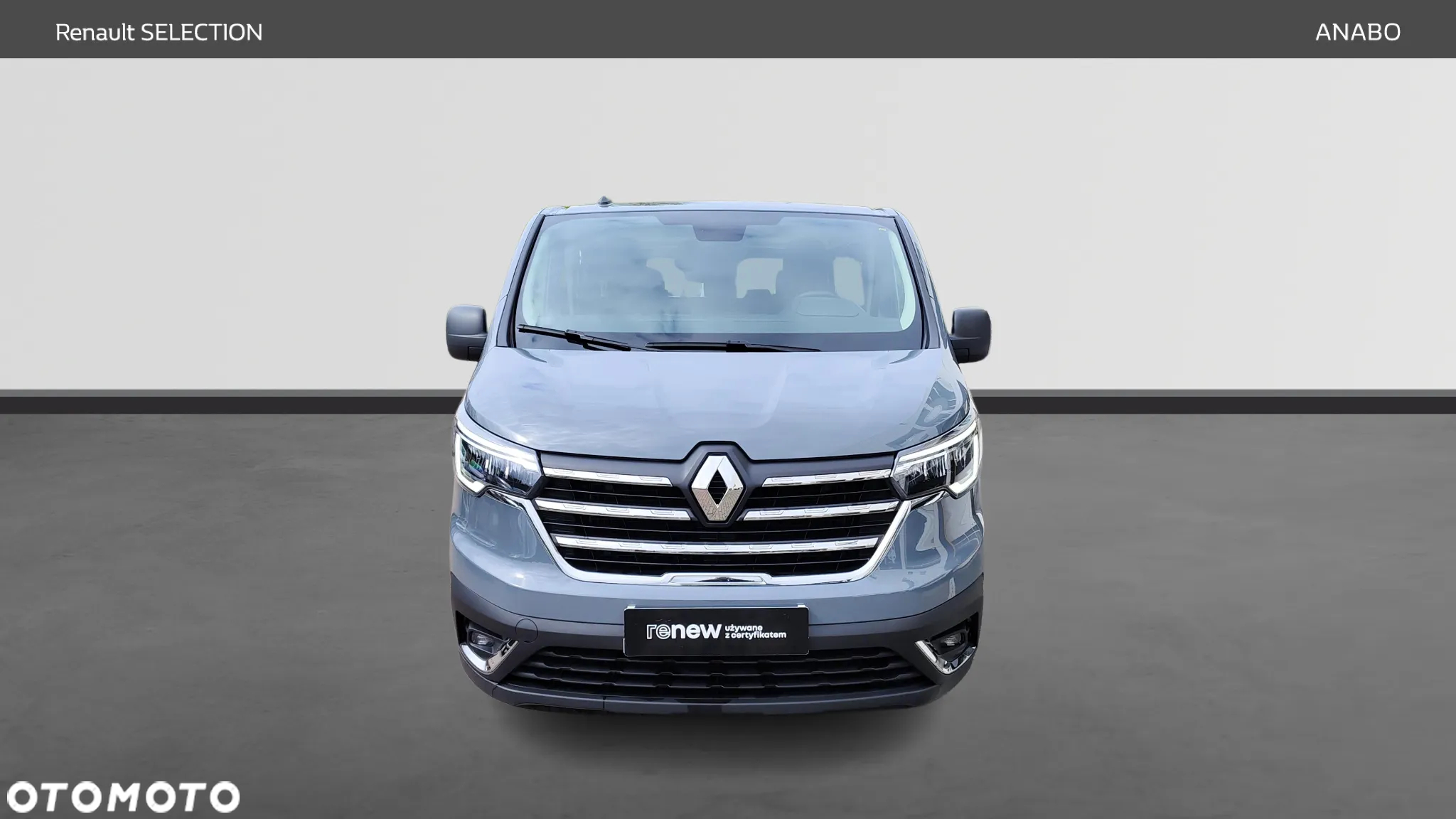 Renault Trafic - 8