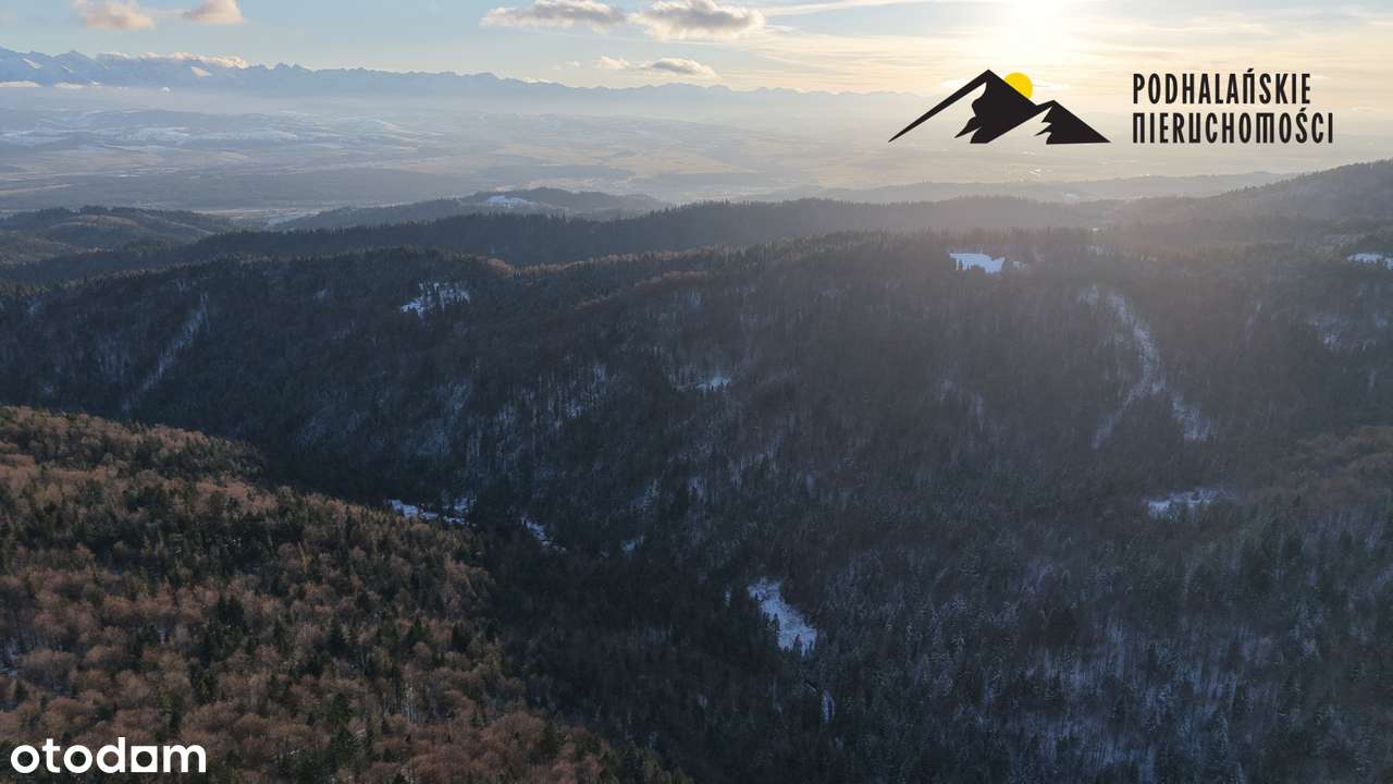 Polana w Gorcach w spokojnej okolicy-7