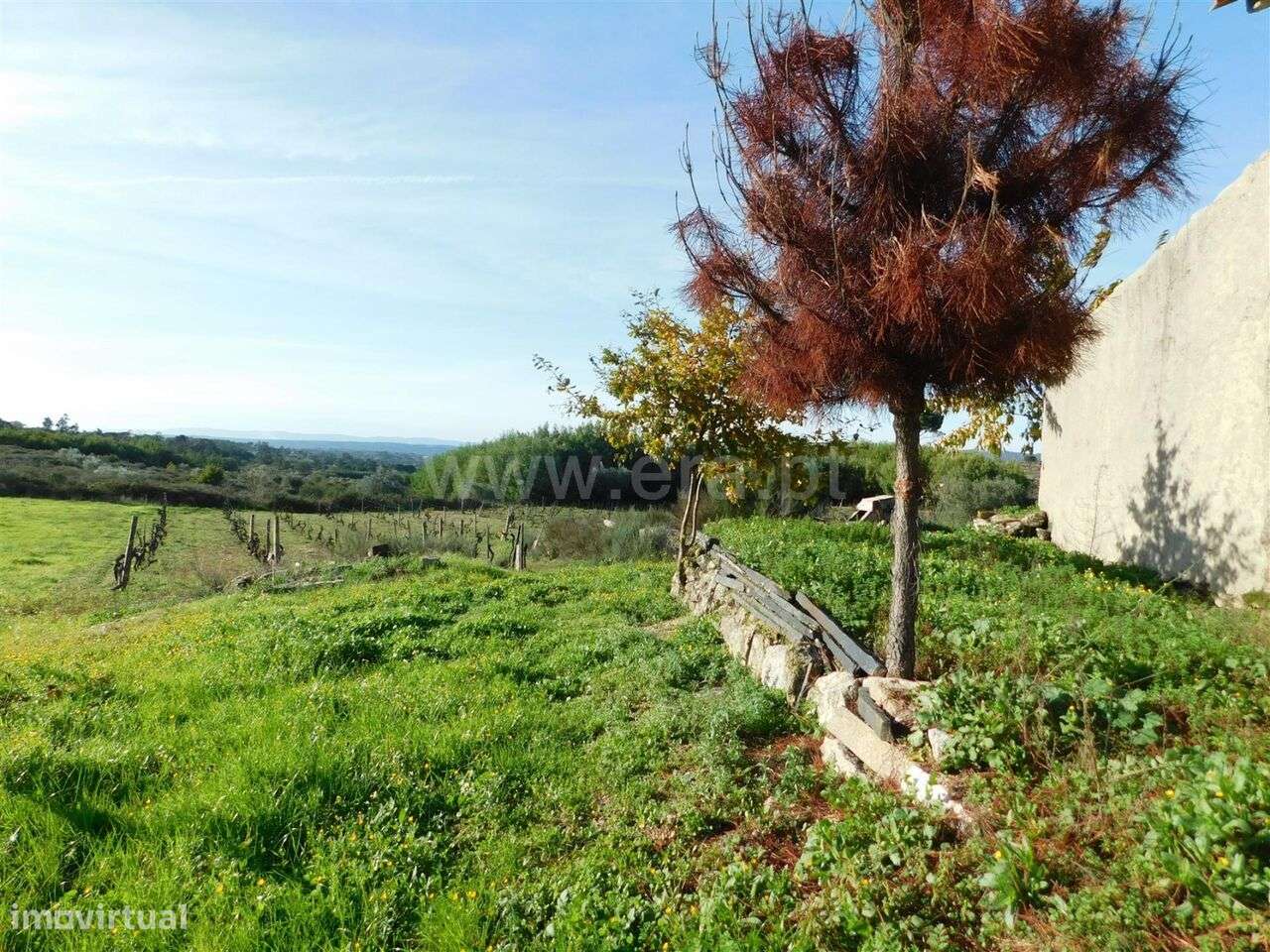 Quinta / Gouveia, São Paio - Grande imagem: 5/12