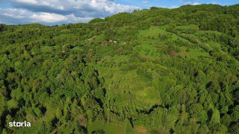 Vand teren cu livada Buces Vulcan - Imagine principală: 4/8