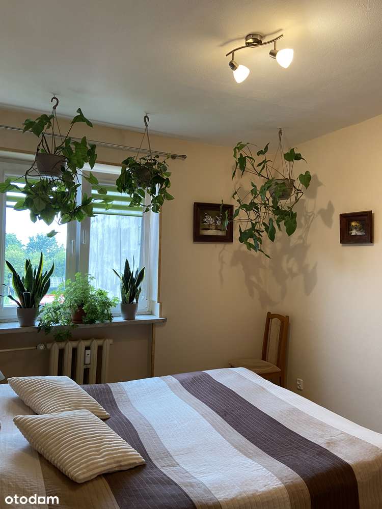 Mieszkanie z narożną loggią 72,4m2 | łazienki po remoncie! | Żyrardów-2