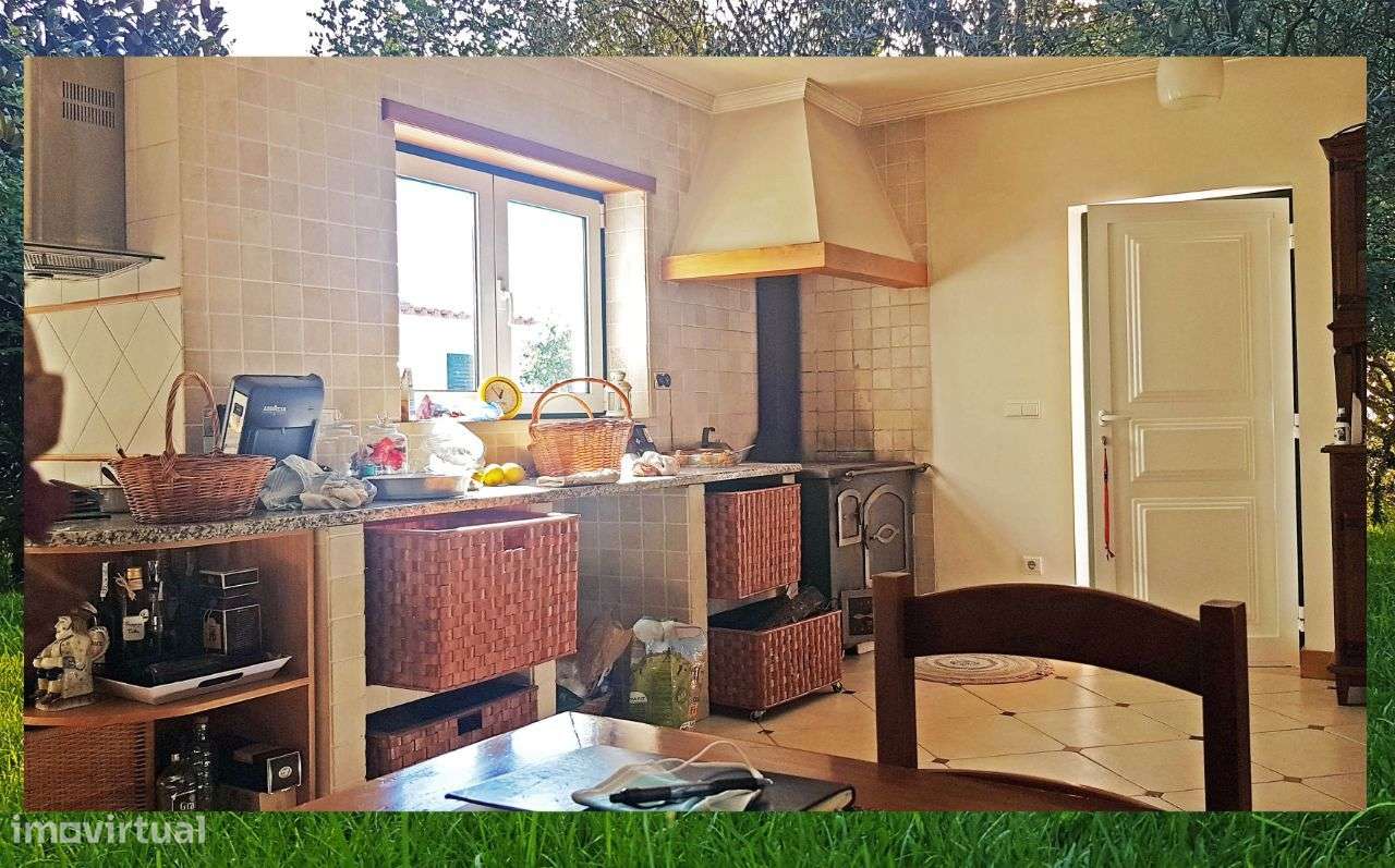 Quintinha com Mata secular-33