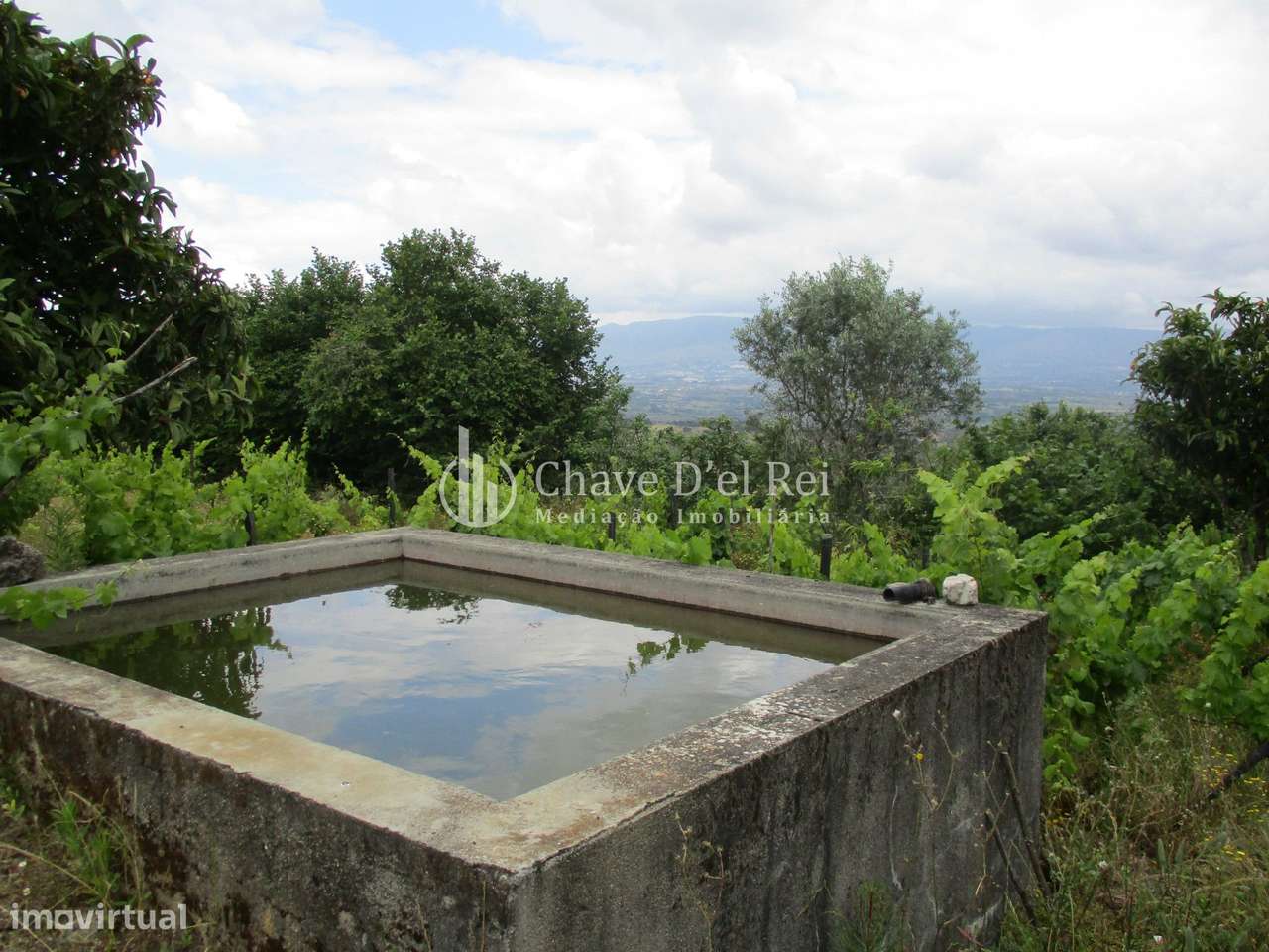 Quintinha  Venda em Santiago de Cassurrães e Póvoa de Cervães,Manguald - Grande imagem: 5/11