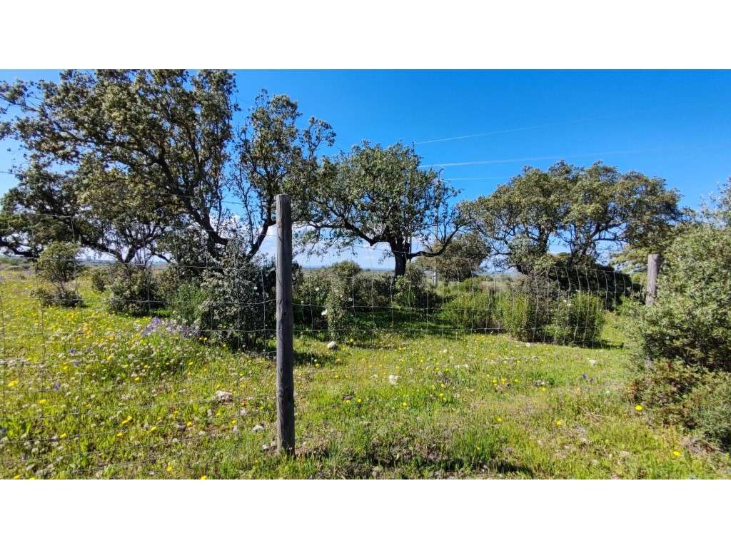 Terreno rústico perto de Póvoa de São Miguel - Grande imagem: 5/6