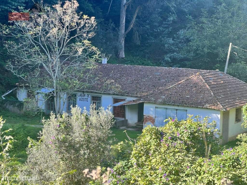 Lagar em Coimbra - Torres do Mondego (Coimbra) Portugal-1