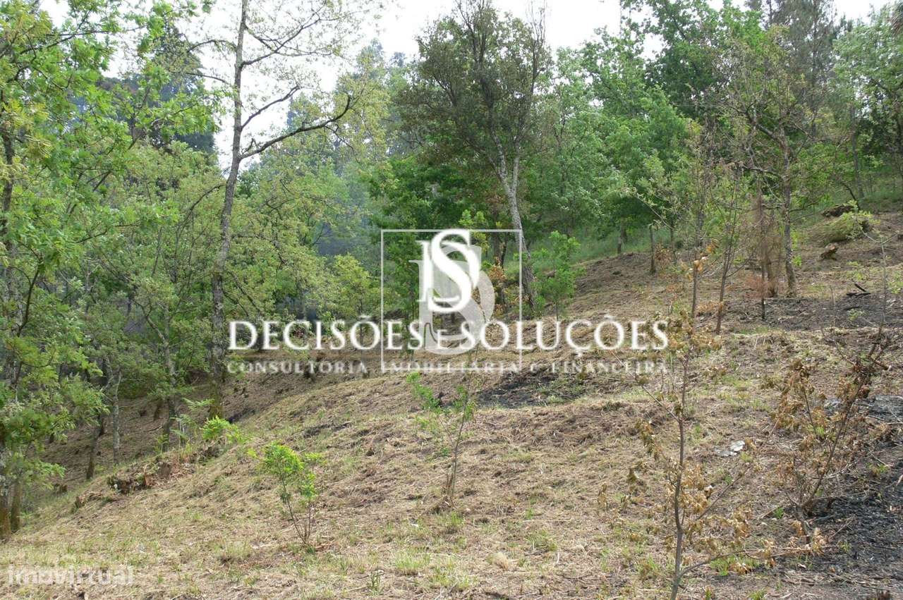 Terreno Não definido em Salamonde-3