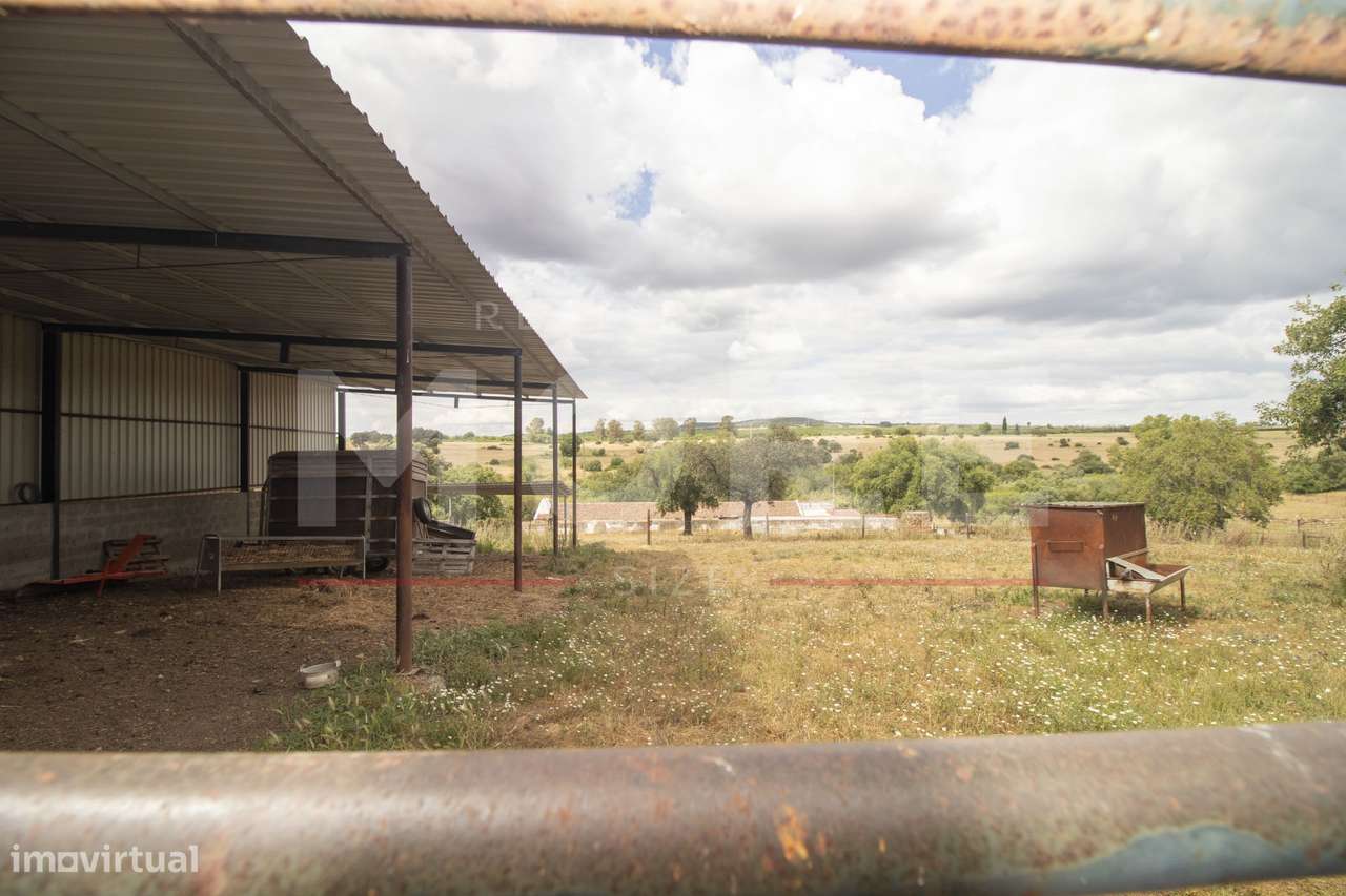 Herdade - Alvito-43