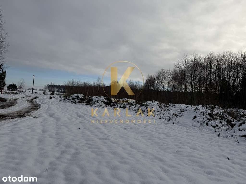 Działka Kaleje w otulinie lasów - 3500 m² - Pełny obrazek: 5/12