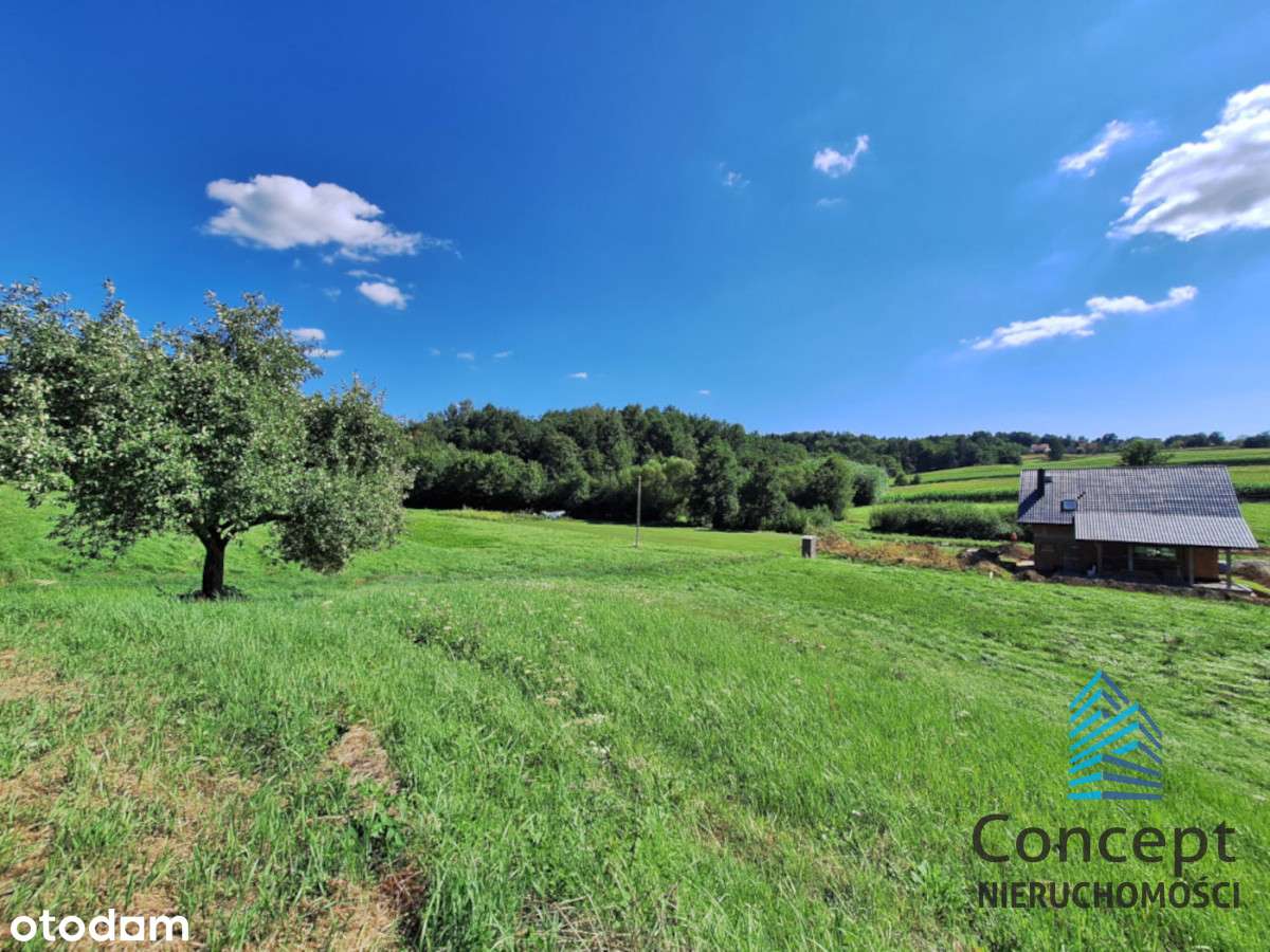 Królówka - działka budowlana - Pełny obrazek: 4/8