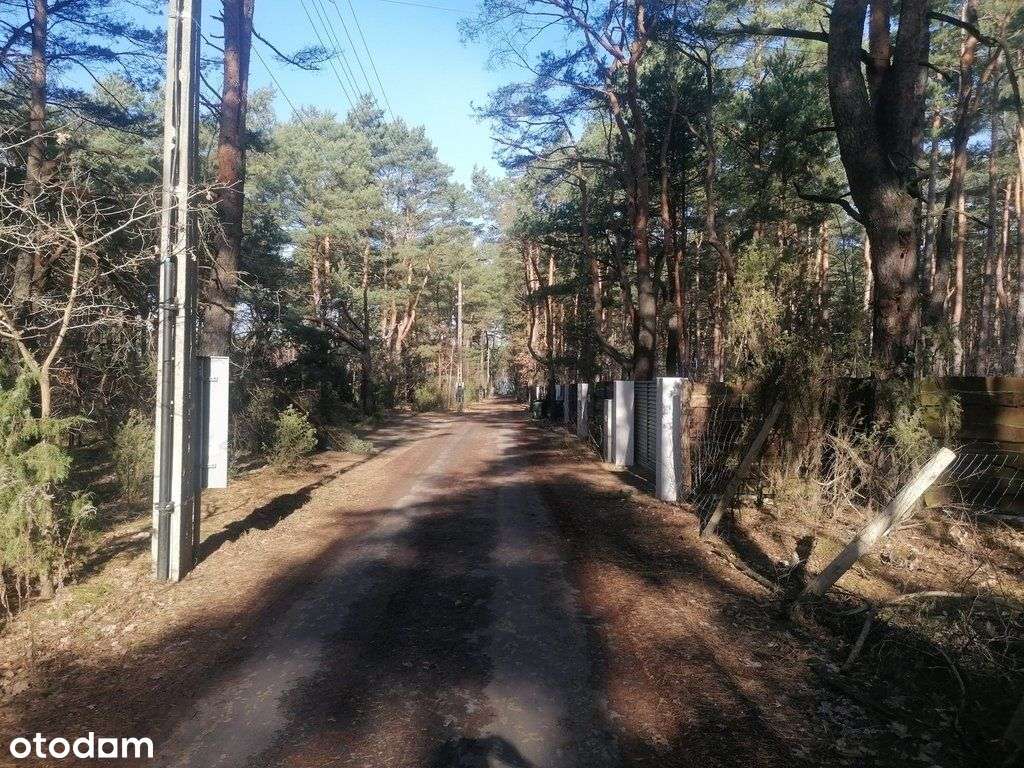 Piękna działka Warszawa/Wawer starodrzew - Pełny obrazek: 5/7