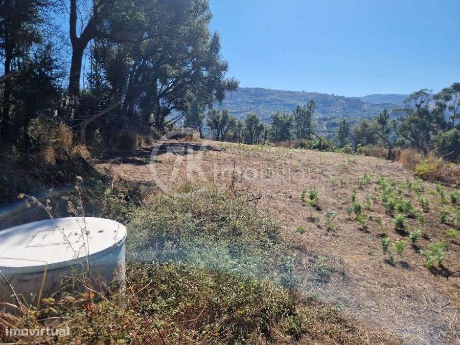 Terreno com Água do Poço e vista Rio - Grande imagem: 5/8