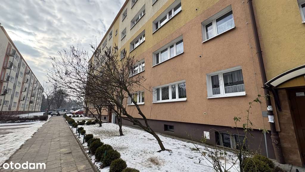 2 pokoje po remoncie | ul. Bukowska | 43 m²-10