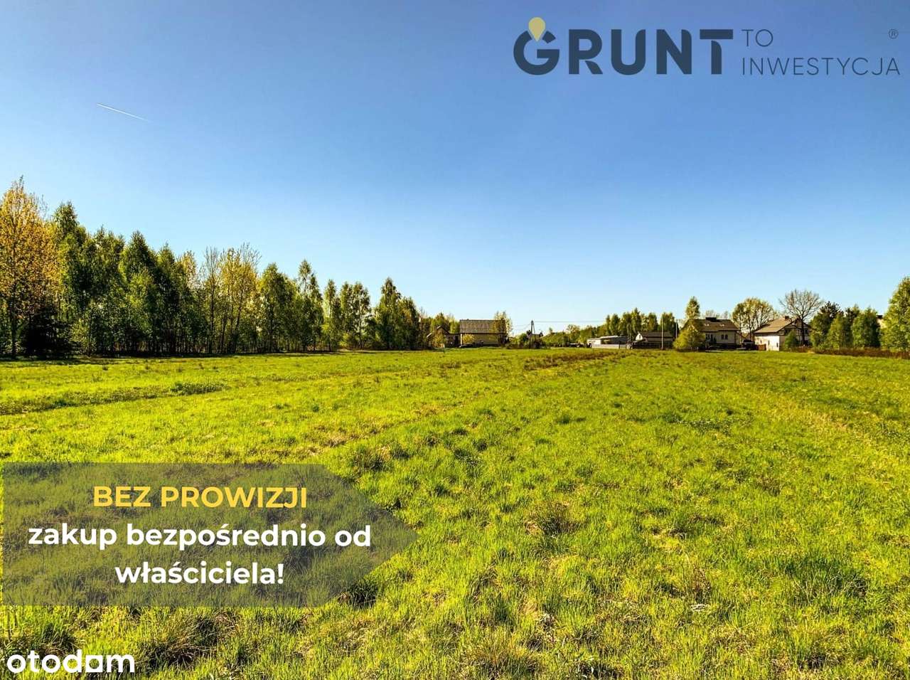 Działki budowlane - przy ścianie lasu - Pełny obrazek: 5/10