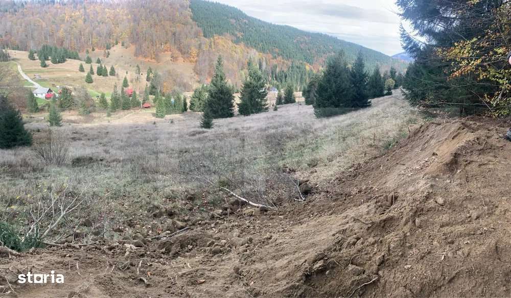 Teren Intravilan 4000 mp, Valea Draganului, - Imagine principală: 5/6