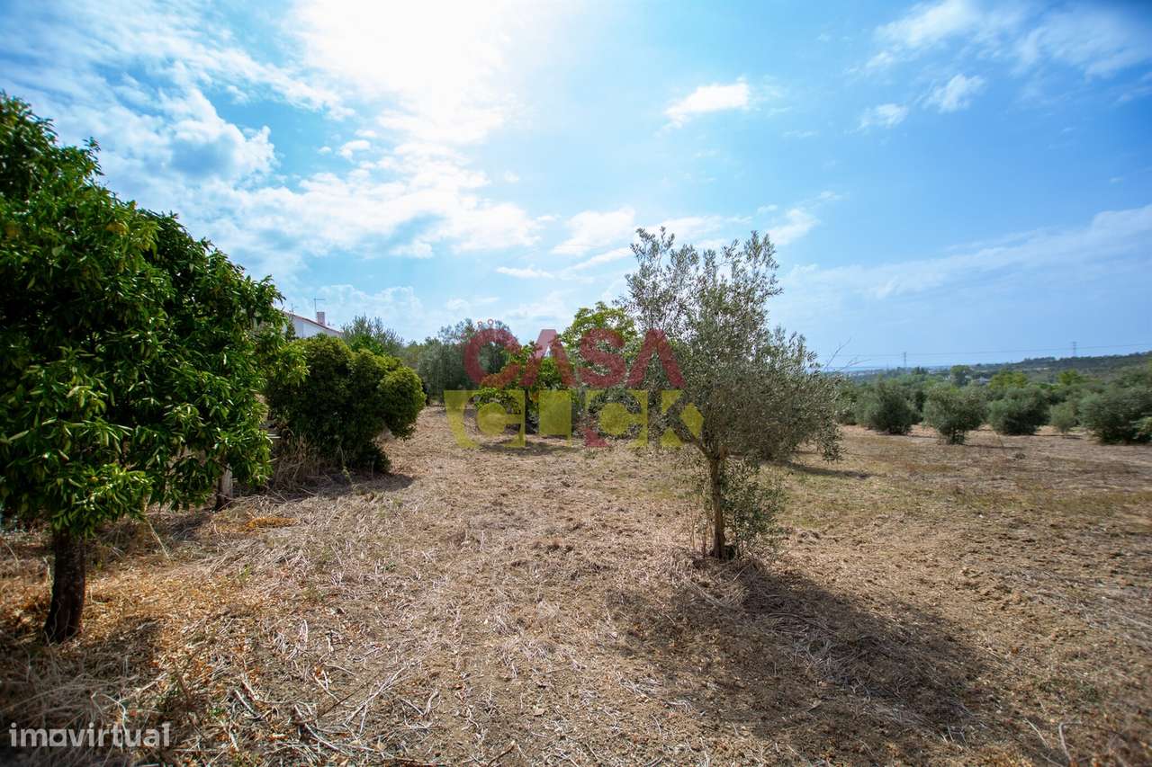 Terreno Para Construção T3 Venda em Olaia e Paço,Torres Novas - Grande imagem: 4/5