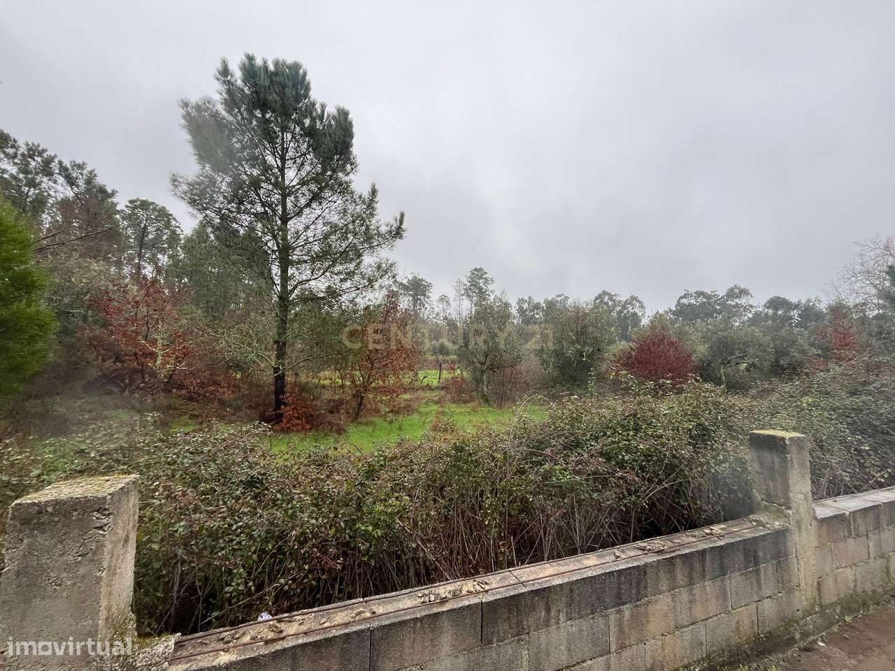 Terreno rústico para venda próximo de Viseu - Grande imagem: 3/4