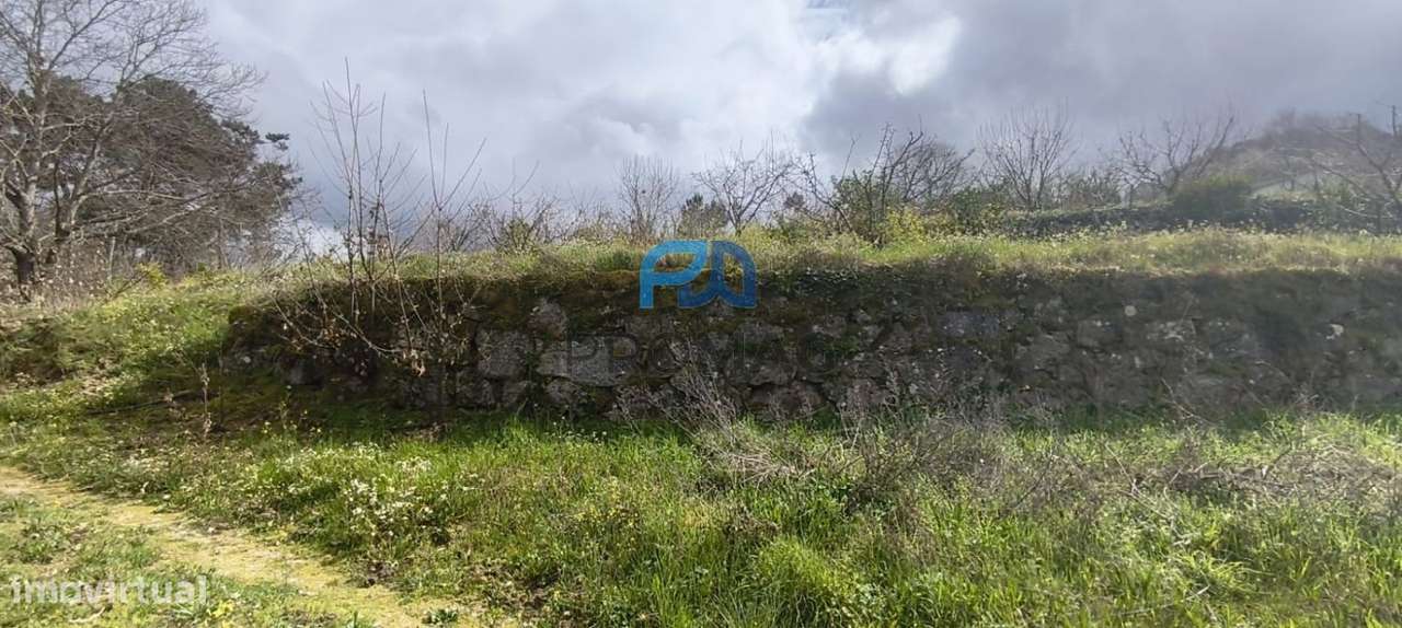 Terreno Urbanizável de 7959 m² com Armazém-13