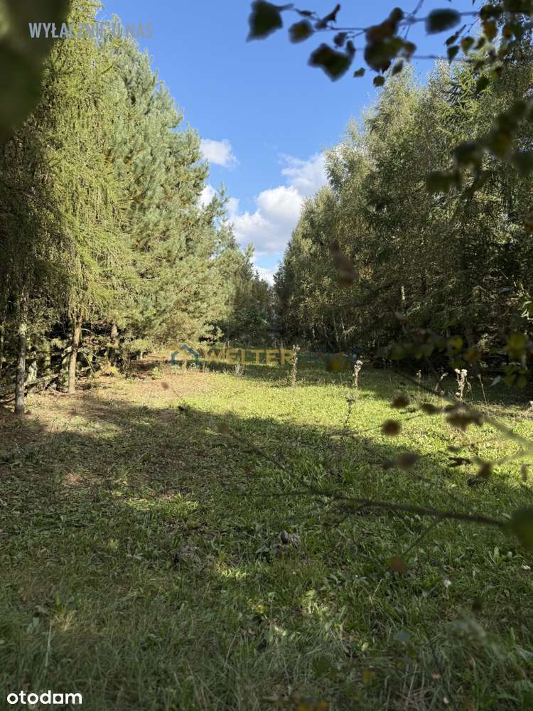 Piękna Nieruchomość, Działka 1,5 ha-13