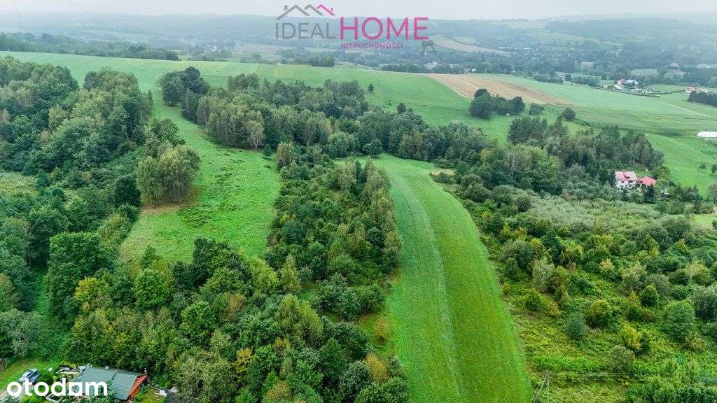 Nowy Borek 1,3675 ha- w trakcie Wz zagrodowa - Pełny obrazek: 4/20