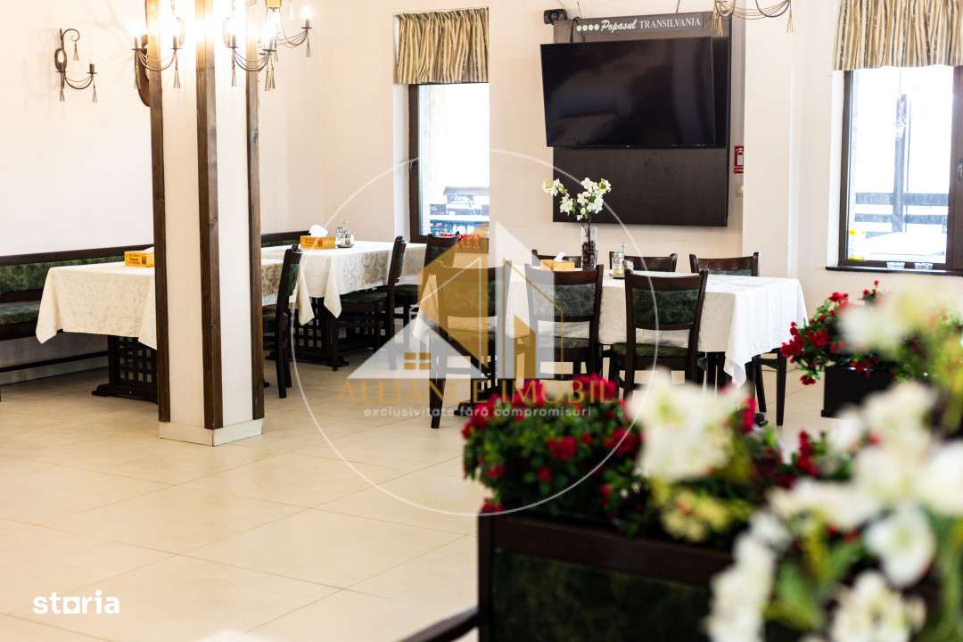 Bijuterie Turistica in Pasul Tihuta: Pensiune Eleganta de Vanzare-7