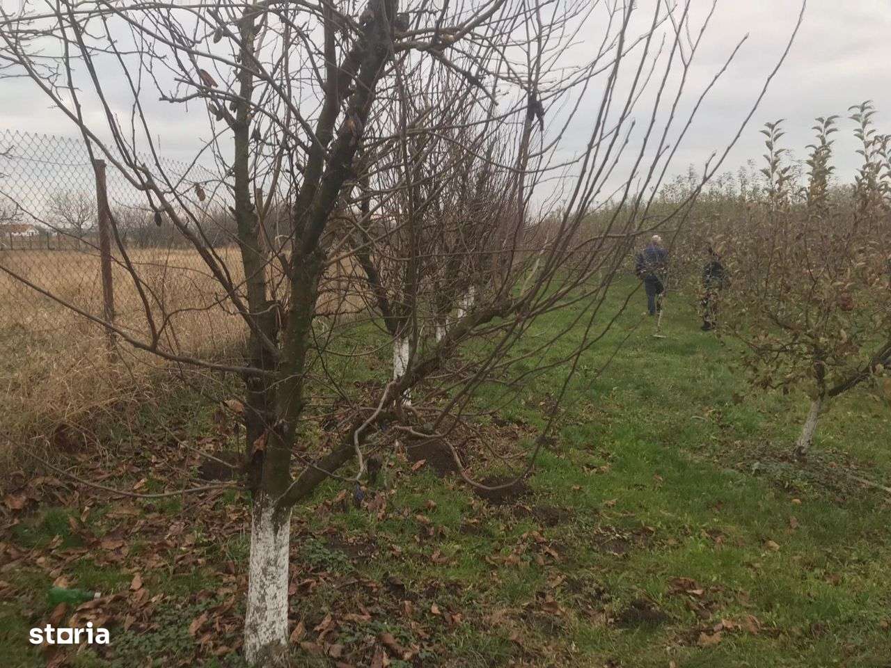 Alios - Teren Intravilan - 1470Mp - Imagine principală: 4/6