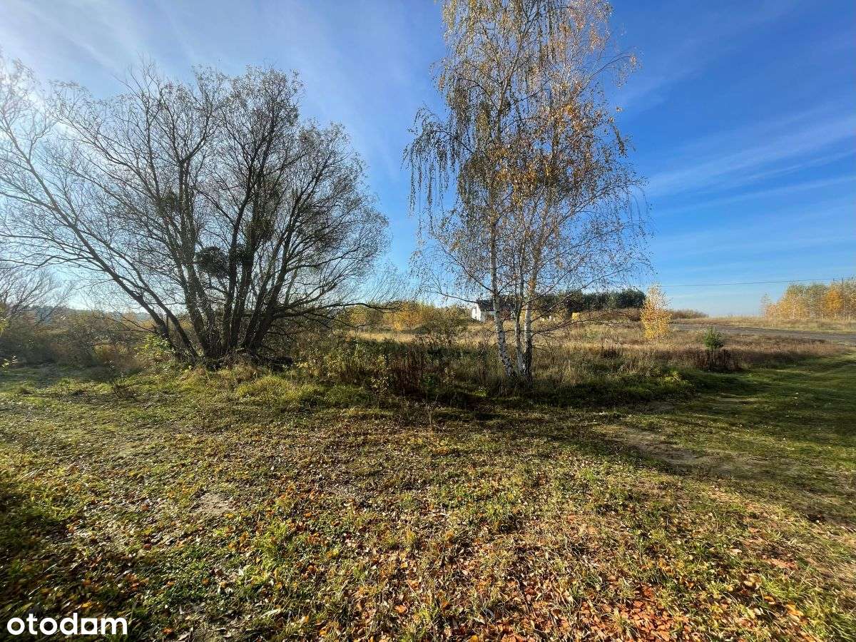 Działka pod budowę domu z dopuszczeniem usług. Kowalewo k. Szubina - Pełny obrazek: 4/5