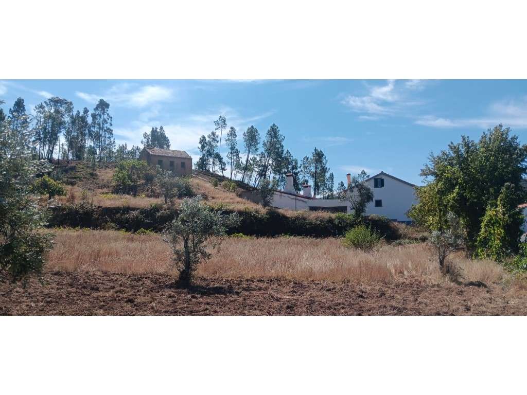 Arrendamento de Construção Rural com Terreno Rústico - Castelo de M... - Grande imagem: 4/12